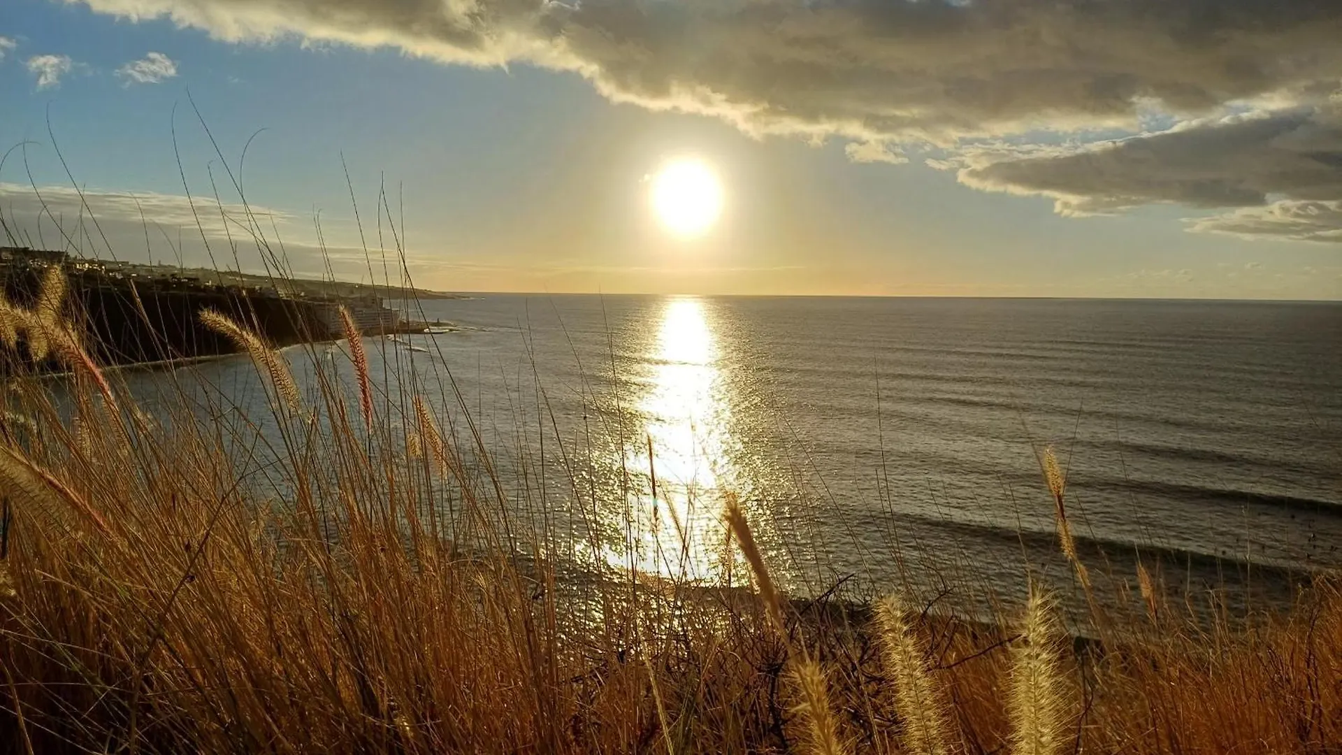 Un Paraiso En Tenerife Punta Del Hidalgo Spain